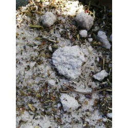 Sare de ocnă cu plante de leac - cimbru, busuioc, salvie